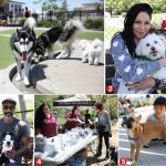 Surprise Pup-Up @ Bluff Creek Fields Dog Park