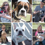 Puppy Hour @ Bluff Creek Fields